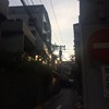 Akanehippo